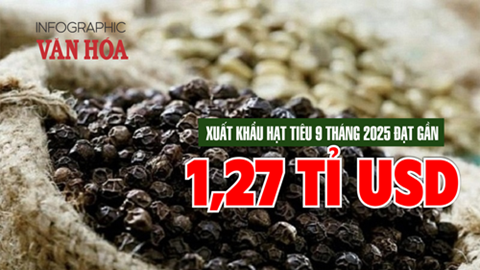(Infographic) Giá hồ tiêu tăng mạnh, kim ngạch xuất khẩu gần 1,27 tỉ USD trong 9 tháng