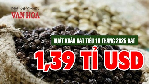 (Infographic) Xuất khẩu hạt tiêu lập kỷ lục mới: Kim ngạch 1,39 tỉ USD trong 10 tháng