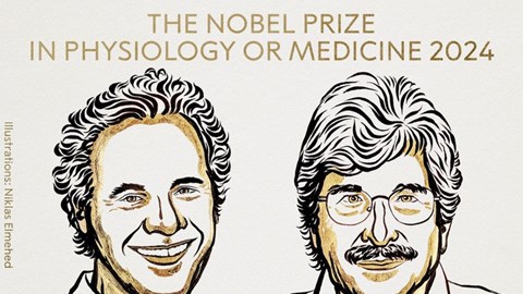 Giải Nobel Y sinh thuộc về hai nhà khoa học người Mỹ