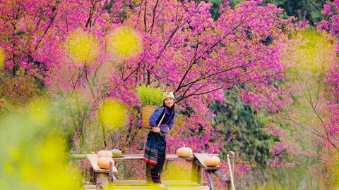  Sôi động thị trường Tết 2025