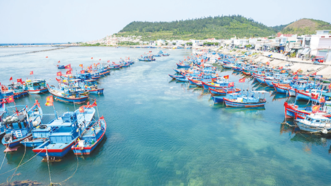  “Trái ngọt” trên hành trình giảm nghèo bền vững ở Lý Sơn