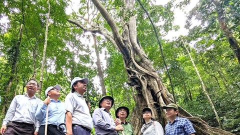 “Di sản kép” của Trường Sơn hùng vĩ