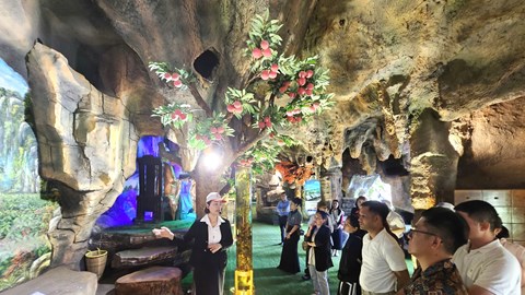 Du lịch dược liệu, sản phẩm hấp dẫn của vùng Tây Nguyên