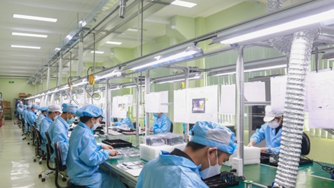 “Thừa bằng cấp, thiếu kỹ năng thực chiến“:
