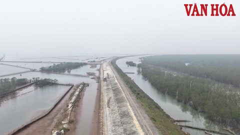 Ninh Bình: Cần 2.300 tỉ đồng cải tạo, nâng cấp 34km đê biển