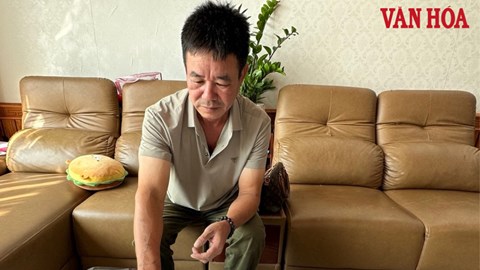 Khó tin ở Ninh Bình: Trúng đấu giá 16 năm nhưng không được giao đất