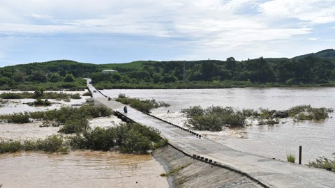 Quảng Ngãi đề xuất 350 tỉ đồng xây mới cầu Thạch Nham