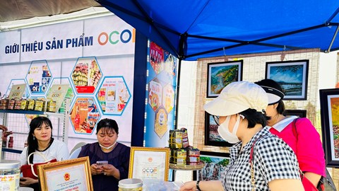 Quảng Ngãi mới có 640 sản phẩm OCOP từ 3 sao trở lên