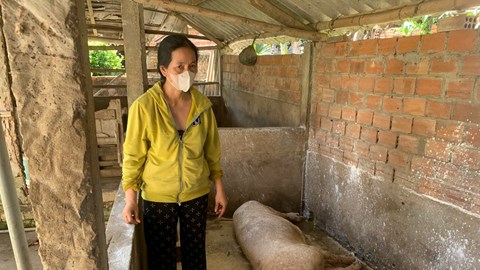 Hỗ trợ gần 3,5 tỷ đồng phục vụ công tác phòng, chống dịch tả lợn châu Phi