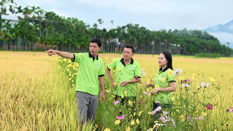 Người trẻ tạo “sức sống” cho du lịch cộng đồng 