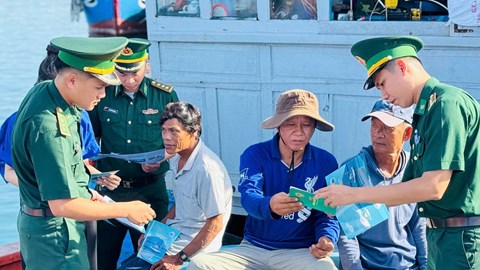 Quảng Ngãi tăng cường cảnh báo, xử lý tàu cá vi phạm khai thác IUU