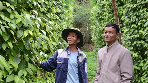 Chi hội trưởng nông dân năng động, làm kinh tế giỏi