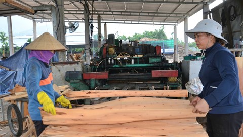 Nâng cao giá trị kinh tế từ nguyên liệu địa phương ở xã Mộ Đức