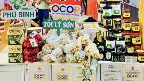 Hiệu quả từ xây dựng sản phẩm OCOP ở đặc khu Lý Sơn