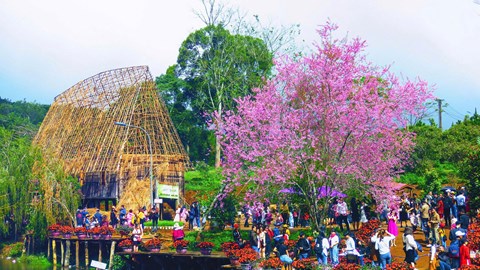 Quảng Ngãi đạt 3.700 tỉ đồng doanh thu từ du lịch 