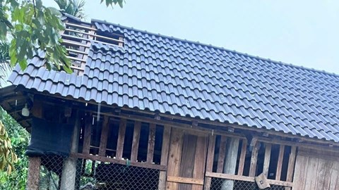 Lốc xoáy làm tốc mái 116 nhà ở miền núi Quảng Ngãi