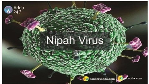 Các địa phương tăng cường giám sát, phòng chống dịch bệnh do virus Nipah ngay từ các cửa khẩu 