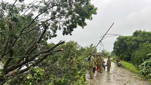 Bão số 5: Hơn 330.000 hộ dân ở Thanh Hoá mất điện, lực lượng điện lực gồng mình khắc phục