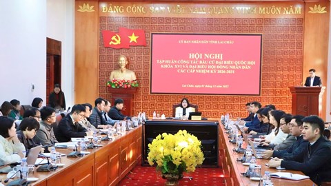 Triển khai công tác bầu cử ĐBQH khóa XVI, đại biểu HĐND các cấp nhiệm kỳ 2026-2031