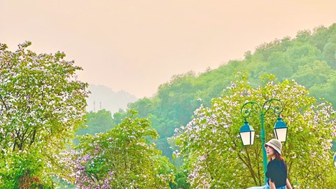 Trại sáng tác - Điểm đến “chill” không thể bỏ lỡ ở Hà Nội