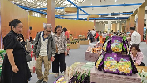  Hội chợ mùa Xuân 2026 có gì hấp dẫn?