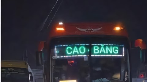 Nhồi 109 khách trên xe 45 chỗ, chủ và lái xe nộp phạt kỉ lục