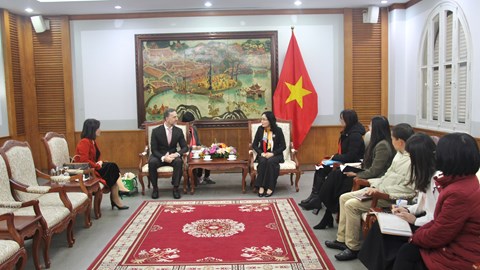 Việt Nam thể hiện cam kết mạnh mẽ trong phòng, chống bạo lực gia đình