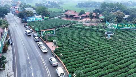 Thái Nguyên thúc đẩy xây dựng nông thôn mới gắn với giảm nghèo bền vững