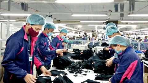 Từ 1.1.2026, tăng lương tối thiểu vùng từ 250.000 đồng - 350.000 đồng/tháng