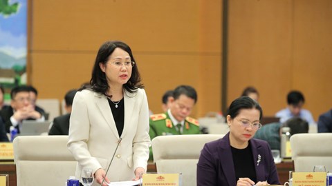 Bộ VHTTDL tiếp tục tập trung chỉ đạo, định hướng công tác tuyên truyền đậm nét cuộc bầu cử Quốc hội và HĐND các cấp