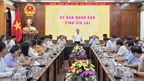 Gia Lai: Ứng phó bão Kalmaegi là nhiệm vụ chính trị hàng đầu trong thời điểm hiện tại