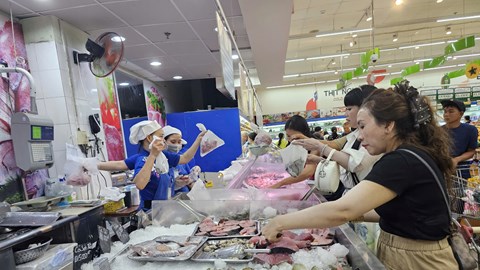 Gia Lai: Người dân vùng biển tích trữ thực phẩm để ứng phó với bão số 13