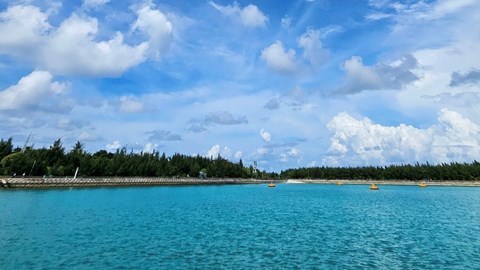 Việt Nam tham gia Hiệp ước Biển cả, thể hiện trách nhiệm đối với bảo tồn đa dạng sinh học biển 