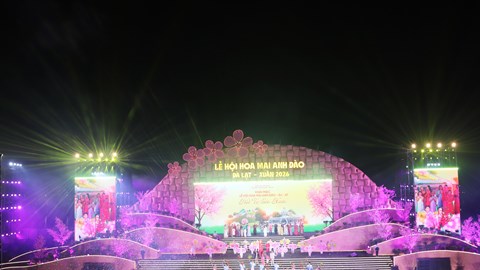 Lâm Đồng: Khai mạc Lễ hội Hoa mai Anh đào Đà Lạt