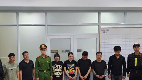 Phá đường dây “biến” thịt heo thành thịt bò tiêu thụ tại 75 quán ăn ở TP.HCM và nhiều địa phương