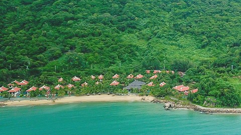 Xử phạt Công ty CP Sơn Trà 366 triệu đồng vì vi phạm môi trường và an toàn thực phẩm