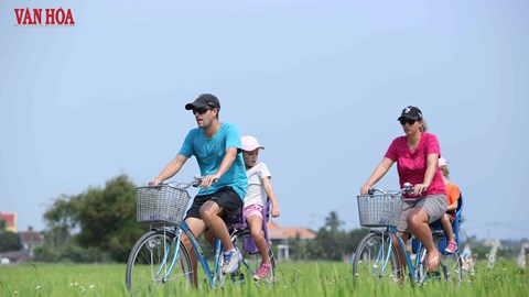 Du lịch xanh Đà Nẵng - từ nền tảng đến tương lai