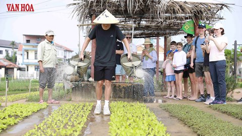 Dấu ấn quốc tế sau 5 năm và hướng phát triển mới trong không gian mở rộng