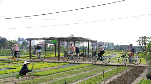  “Chạm về nguyên bản” để phát triển bền vững