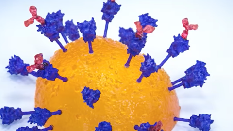 Biến thể SARS-CoV-2 BA.3.2: Vắcxin Covid-19 vẫn có thể ngăn ngừa bệnh tiến triển nặng