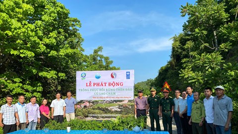 Trồng 3.000 cây gỗ bản địa phục hồi rừng trên đảo Cù Lao Chàm