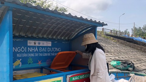 Quy định quản lý, bảo vệ môi trường trên địa bàn Đà Nẵng