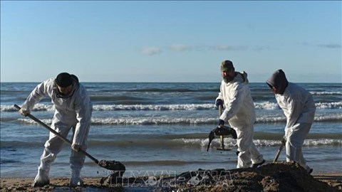 Nga thu thập hơn 1.000 tấn đất ô nhiễm sau sự cố tràn dầu ở Biển Đen