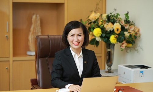 Tổng Giám đốc Sun Group: “Chúng tôi tìm thấy cơ hội trong thách thức” - Anh 1