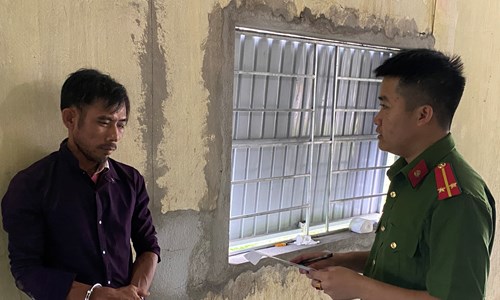 Thủ đoạn mới của bọn trộm chó, mèo - Anh 1