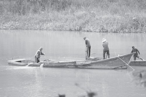 "Vô tư " khai thác cát trái phép trên sông Cái qua địa phận huyện Diên Khánh: Xã nói vẫn diễn ra, huyện bảo đã xử lý - ảnh 2