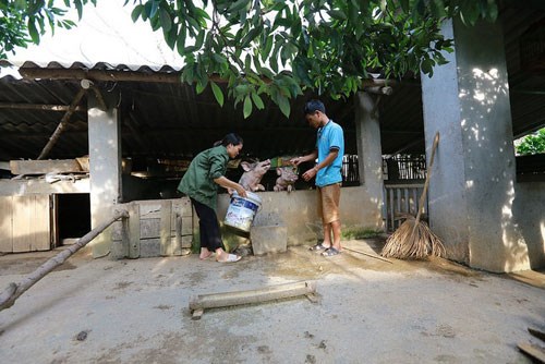 Cùng nhau nỗ lực giảm nghèo(Bài 1): Nâng cao vị thế phụ nữ nhờ thoát nghèo và tự chủ kinh tế - Anh 1