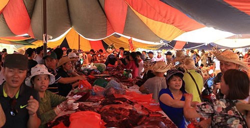 Lễ hội chọi trâu Đồ Sơn 2017: Nhiều biến tướng, tiêu cực đã được 