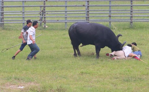 Đại biểu Quốc hội Trần Thị Quốc Khánh (HN): “Xã hội văn minh không chấp nhận những lễ hội bạo lực” - Anh 1