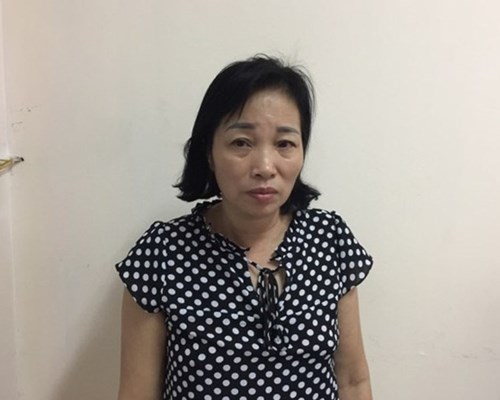 Người đàn bà ham lãi 40 triệu đồng để buôn 2 bánh heroin - Anh 1